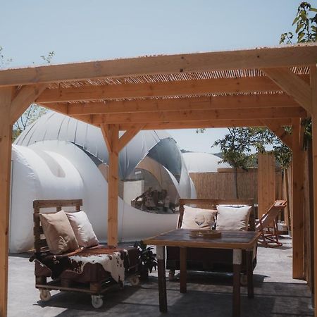 Fuente Del Lobo Glamping & Bungalows - Adults Only Пінос-Хеніль Екстер'єр фото
