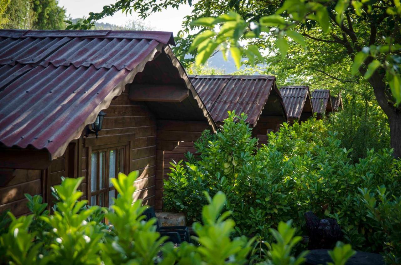 Fuente Del Lobo Glamping & Bungalows - Adults Only Пінос-Хеніль Екстер'єр фото