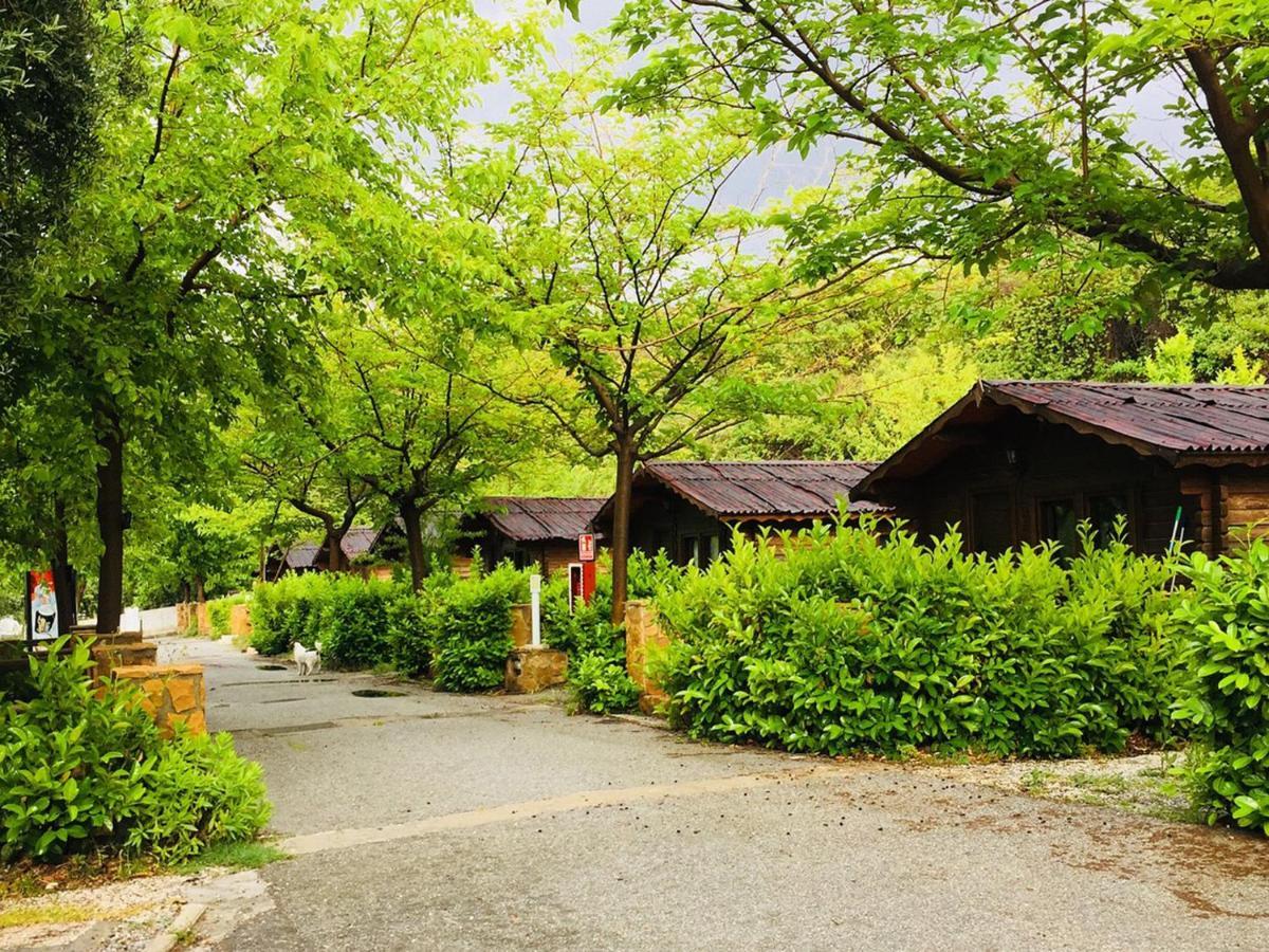 Fuente Del Lobo Glamping & Bungalows - Adults Only Пінос-Хеніль Екстер'єр фото