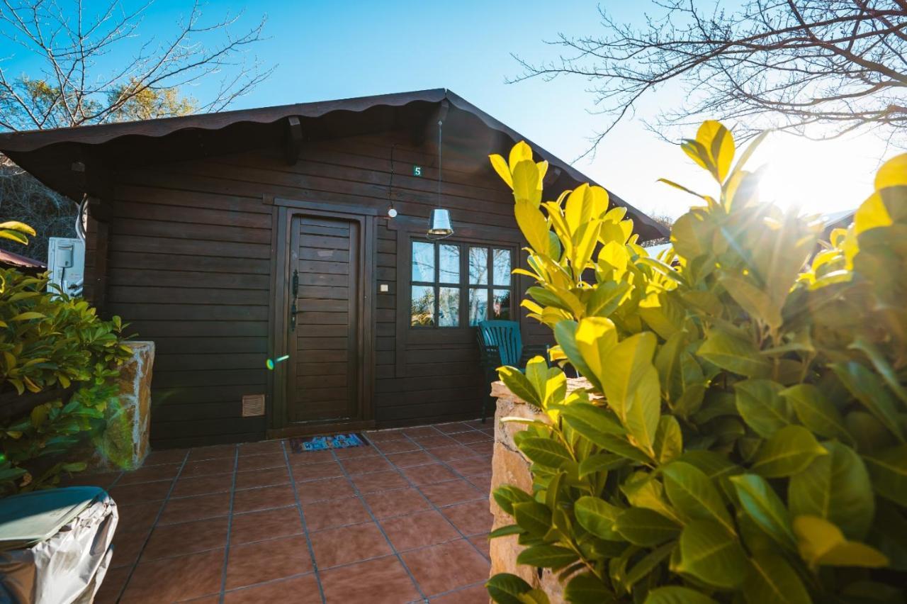 Fuente Del Lobo Glamping & Bungalows - Adults Only Пінос-Хеніль Екстер'єр фото