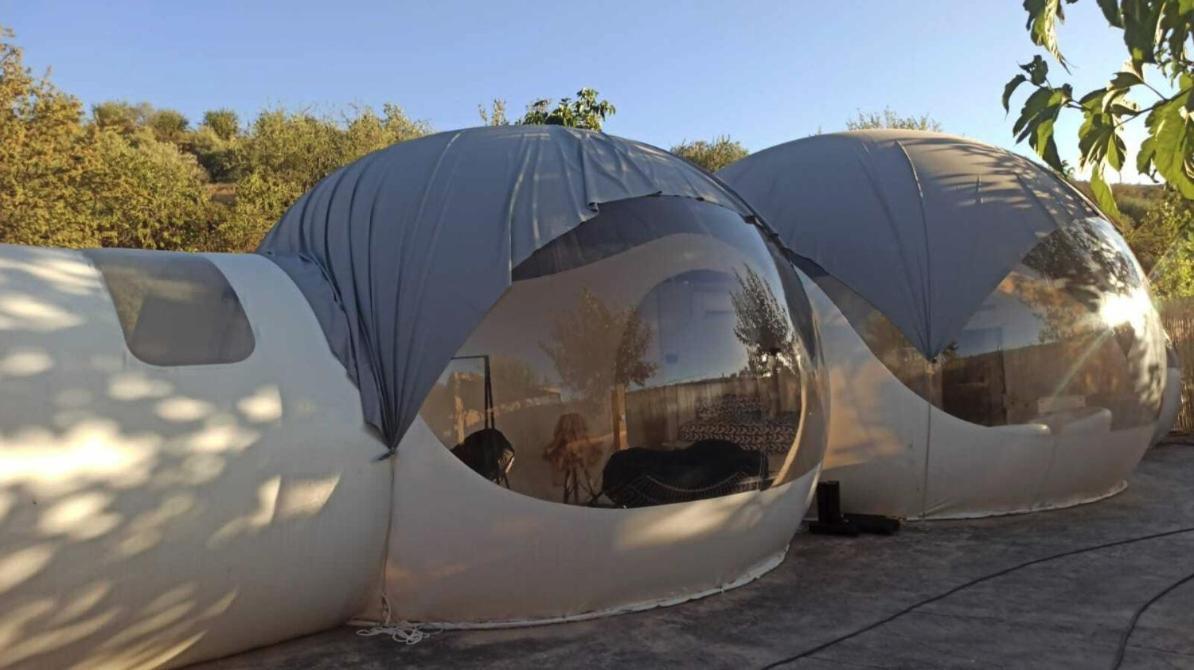 Fuente Del Lobo Glamping & Bungalows - Adults Only Пінос-Хеніль Екстер'єр фото
